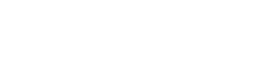 Logo for Bookwise