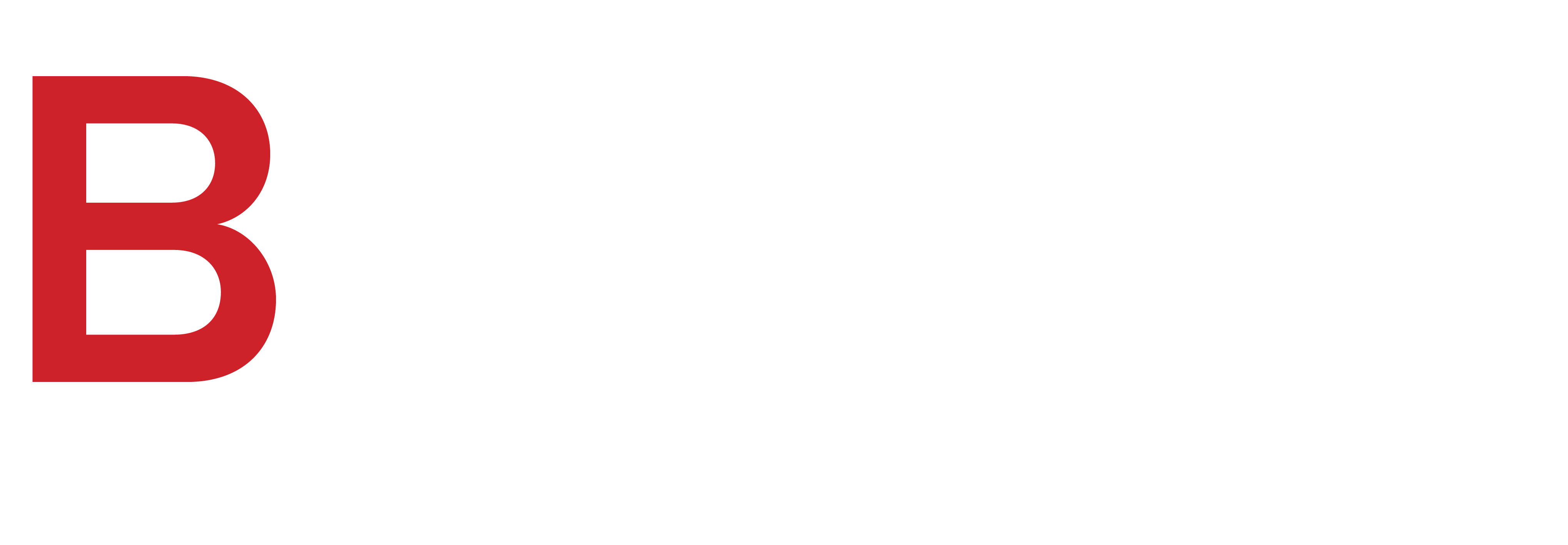 Dark mode logo for British Online Archives Status