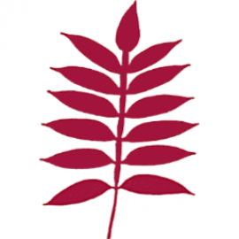 Logo for SUMAC